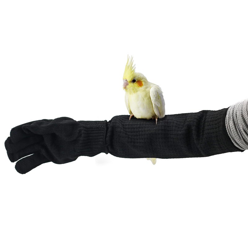 Bac-kitchen Bird Training Anti-Bite Gloves, Level 5 Protection, Parrot Chewing Working Safety Protective Gloves for Small Animal Pet Squirrels Hamster Parrotlets Cockatiels Finch Macaw (Gloves + Arm Sleeves) - Image 1